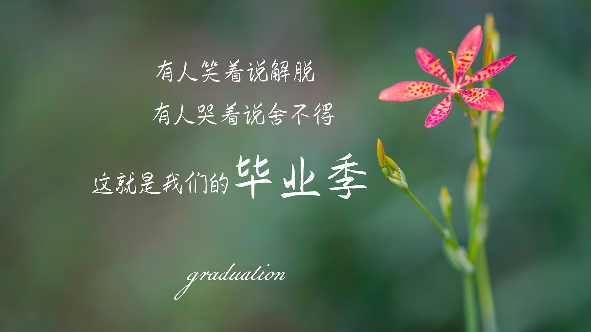 _城市轮滑巡游：时尚与运动的精彩融合_，城市轮滑客服电话