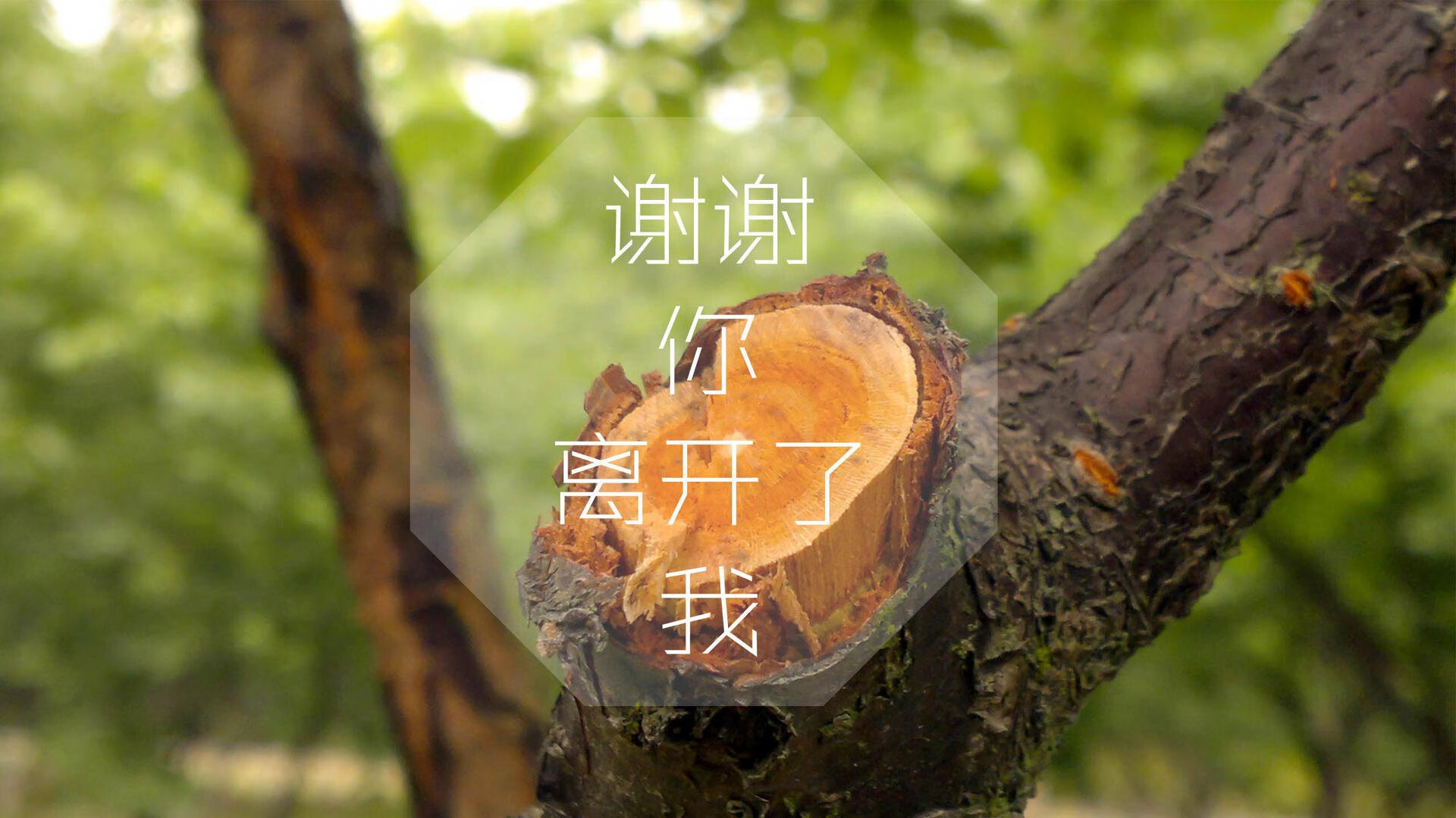 青训成绩是否该纳入俱乐部综合评分系统，青训梯队