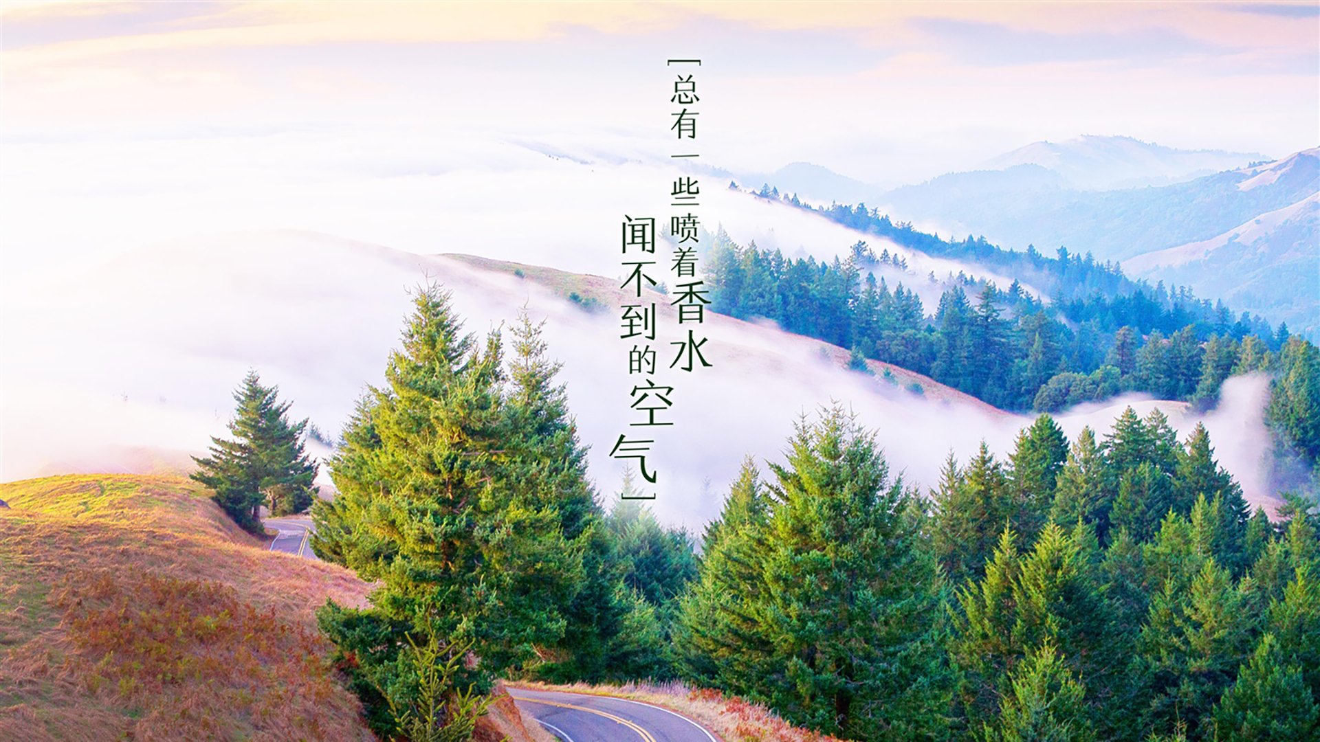 高位挡拆与低位单打的战术取舍，高位挡拆和低位挡拆