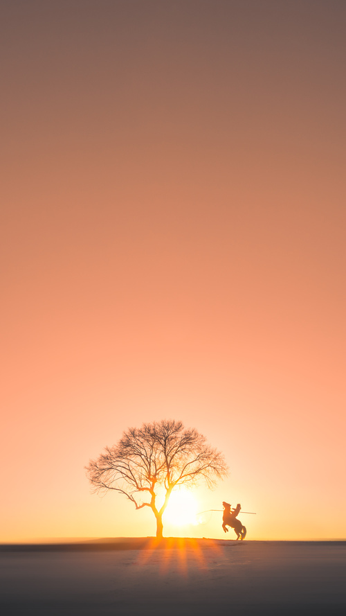 麦肯齐：无与伦比的快速反击能力使全黑队进攻如虎添翼，麦肯齐分了多少钱